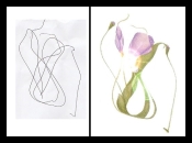 Scribble from Shania
